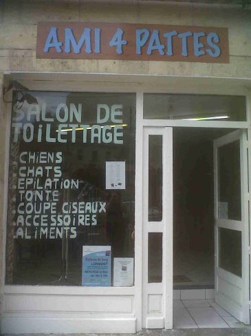 annonce Ami 4 pattes