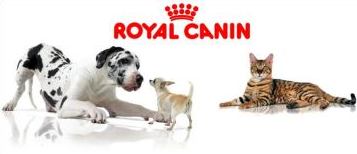 royal canin